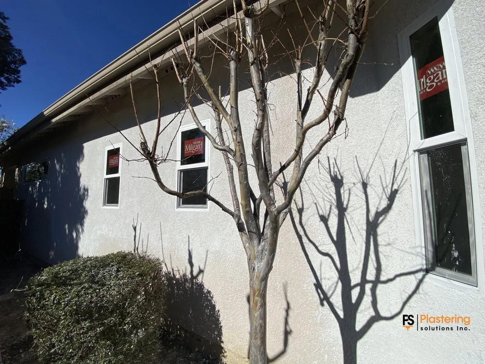 Finished side wall with a row of new windows and seamless stucco