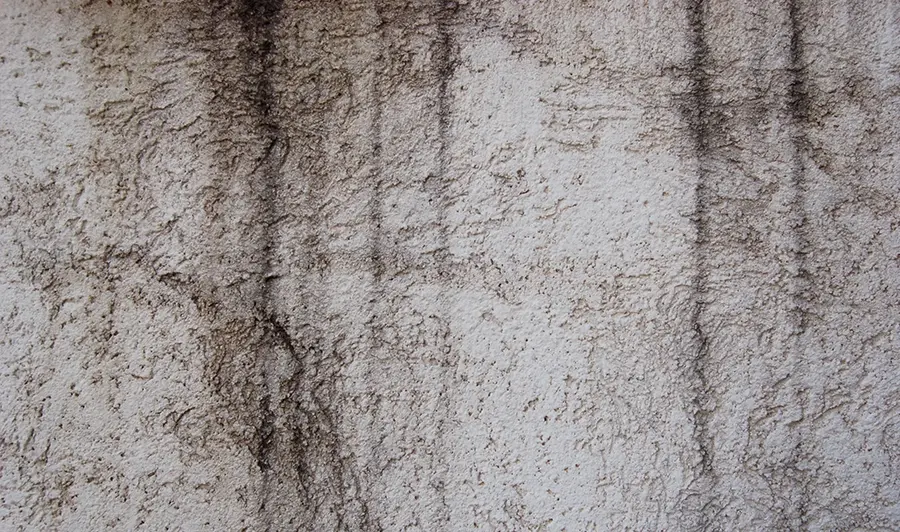 Dark vertical water streaks running down a white textured stucco wall